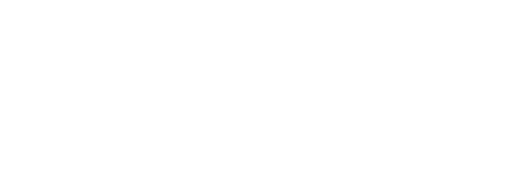 FAIO Logo weiß